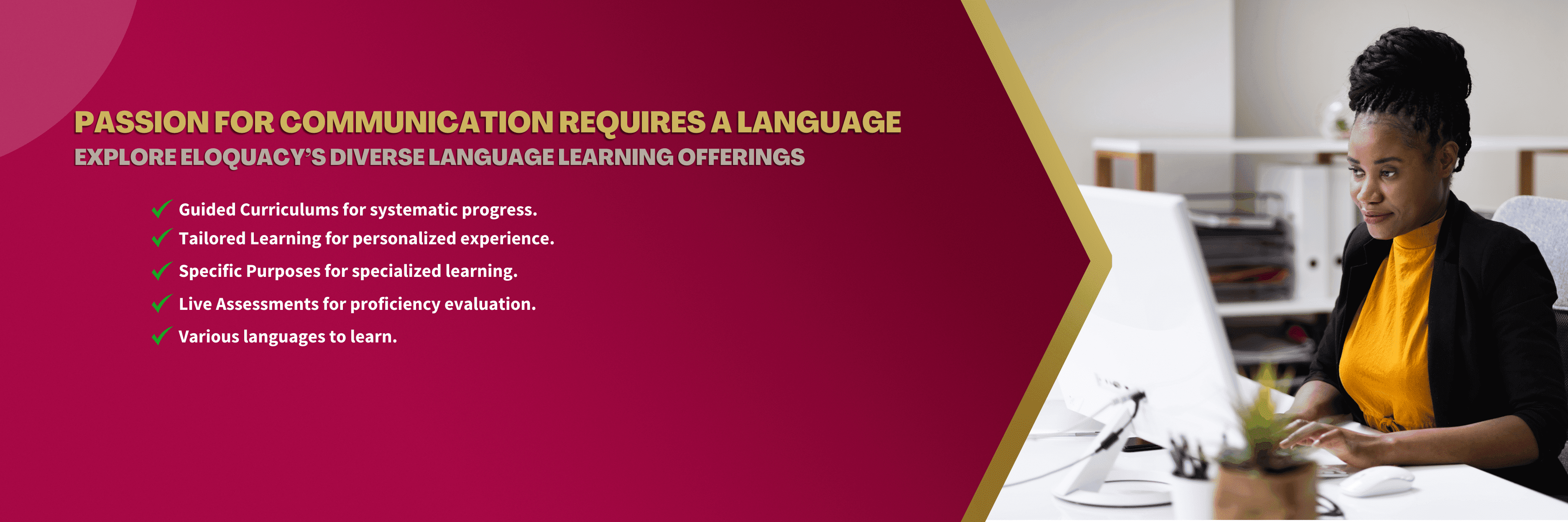 Eloquacy's offerings - Join guided curriculums. Tailored your learning to your needs. Explore specialized solutions. Undergo a live assessment. Learn various languages.